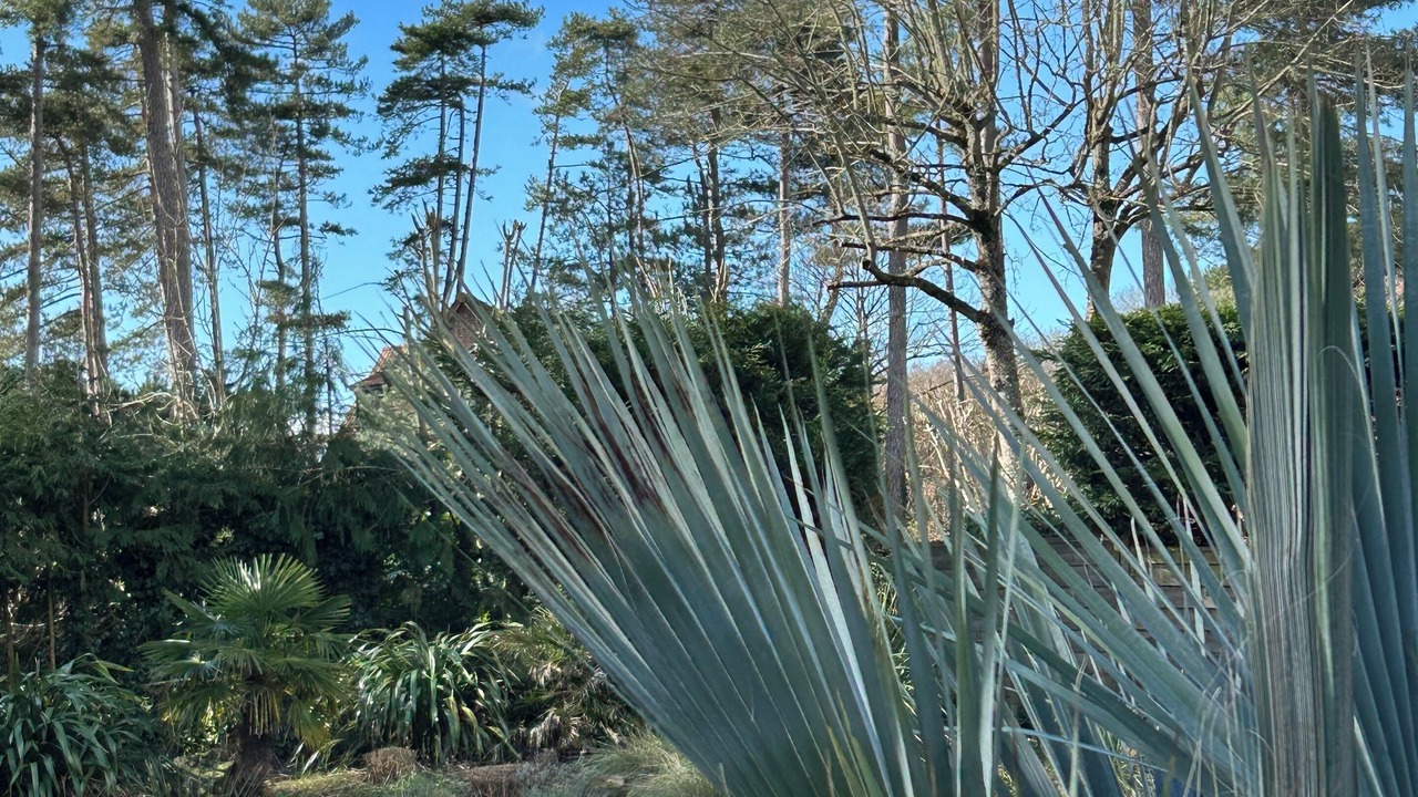 Photo of Outdoor in Hardelot-Plage