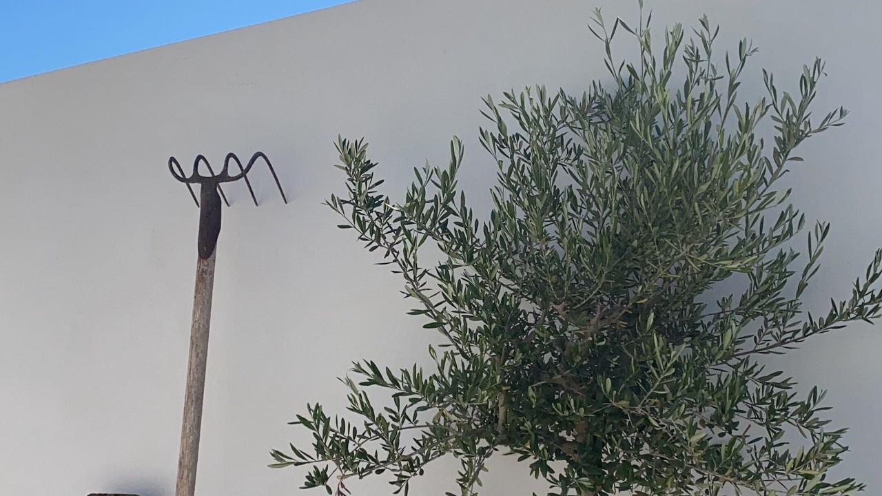 Photo of Outdoor in Moraira