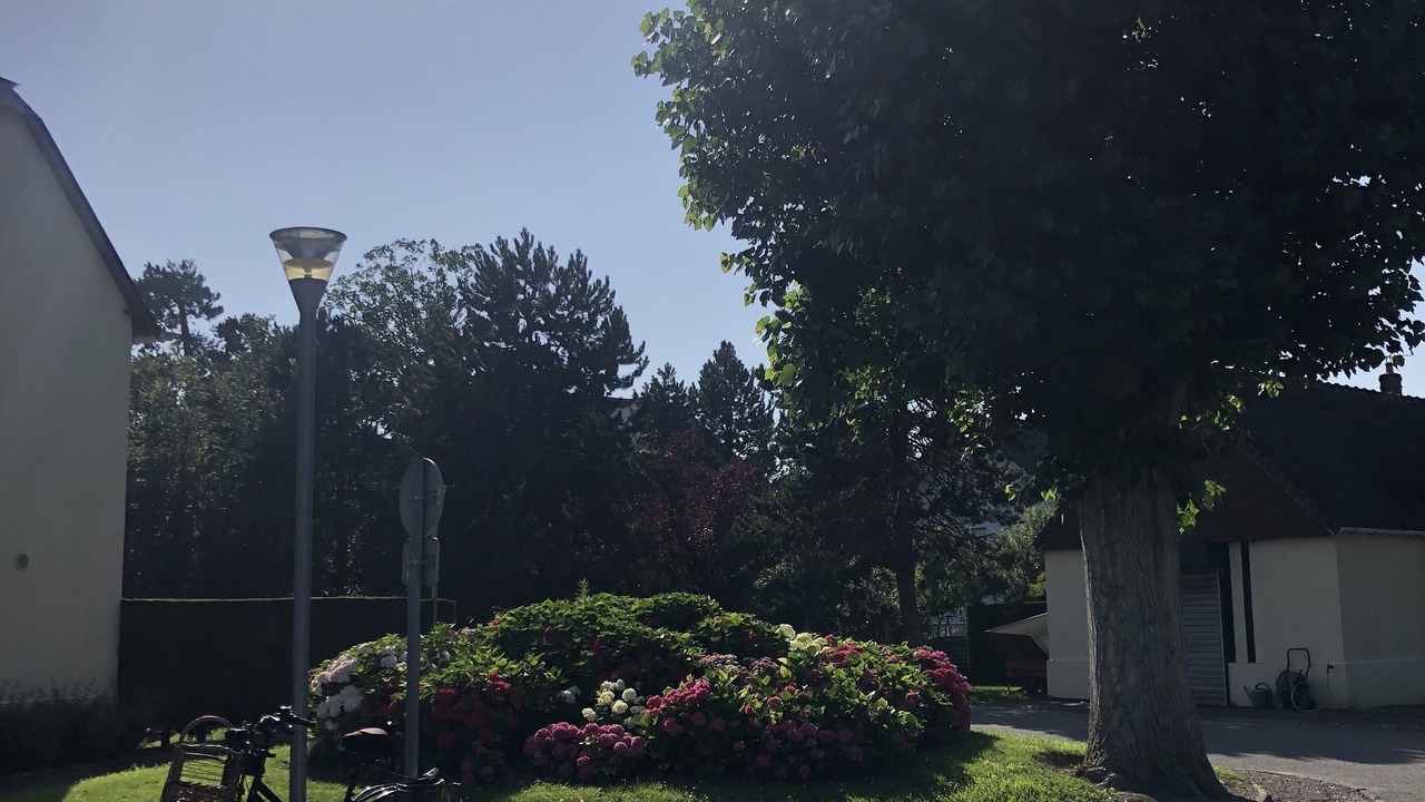 Photo of Outdoor in Tourgeville