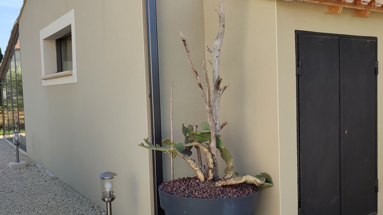 Photo of Outdoor in Chateaurenard