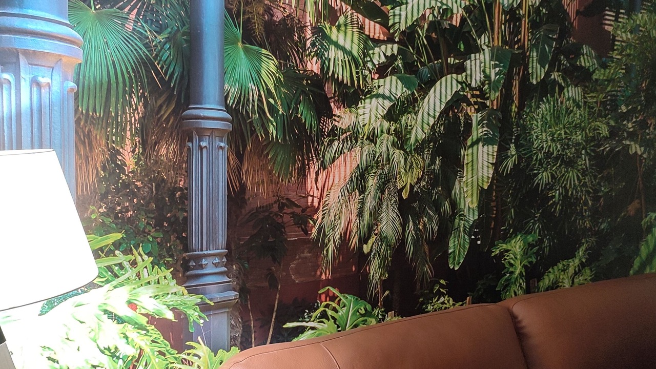 Photo of Outdoor in Chateaurenard