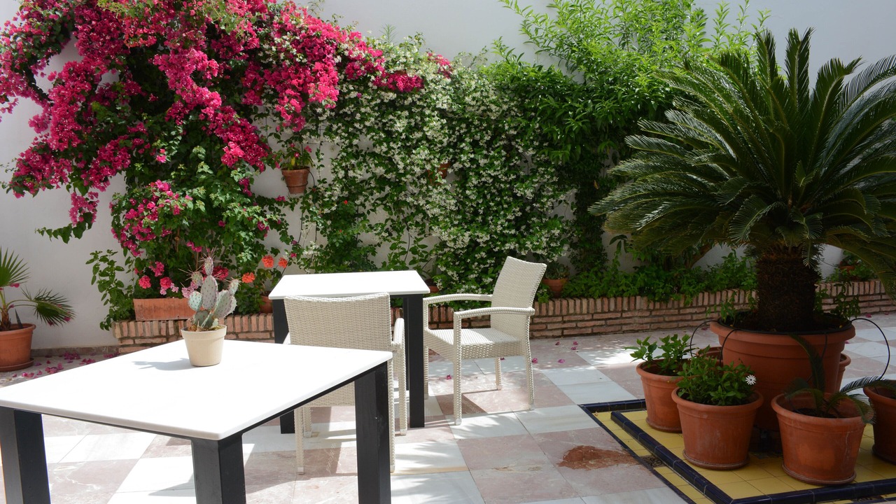 Photo of Outdoor in San Lorenzo