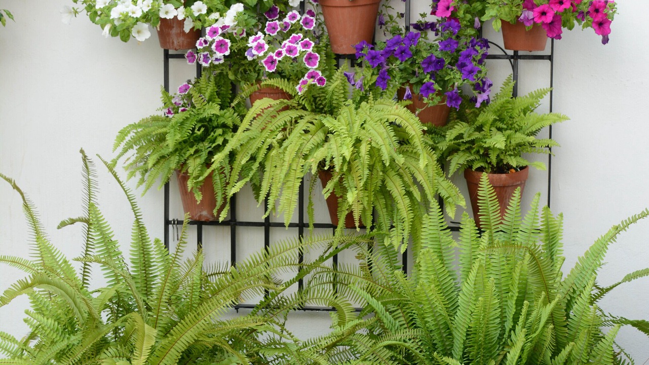 Photo of Outdoor in San Lorenzo
