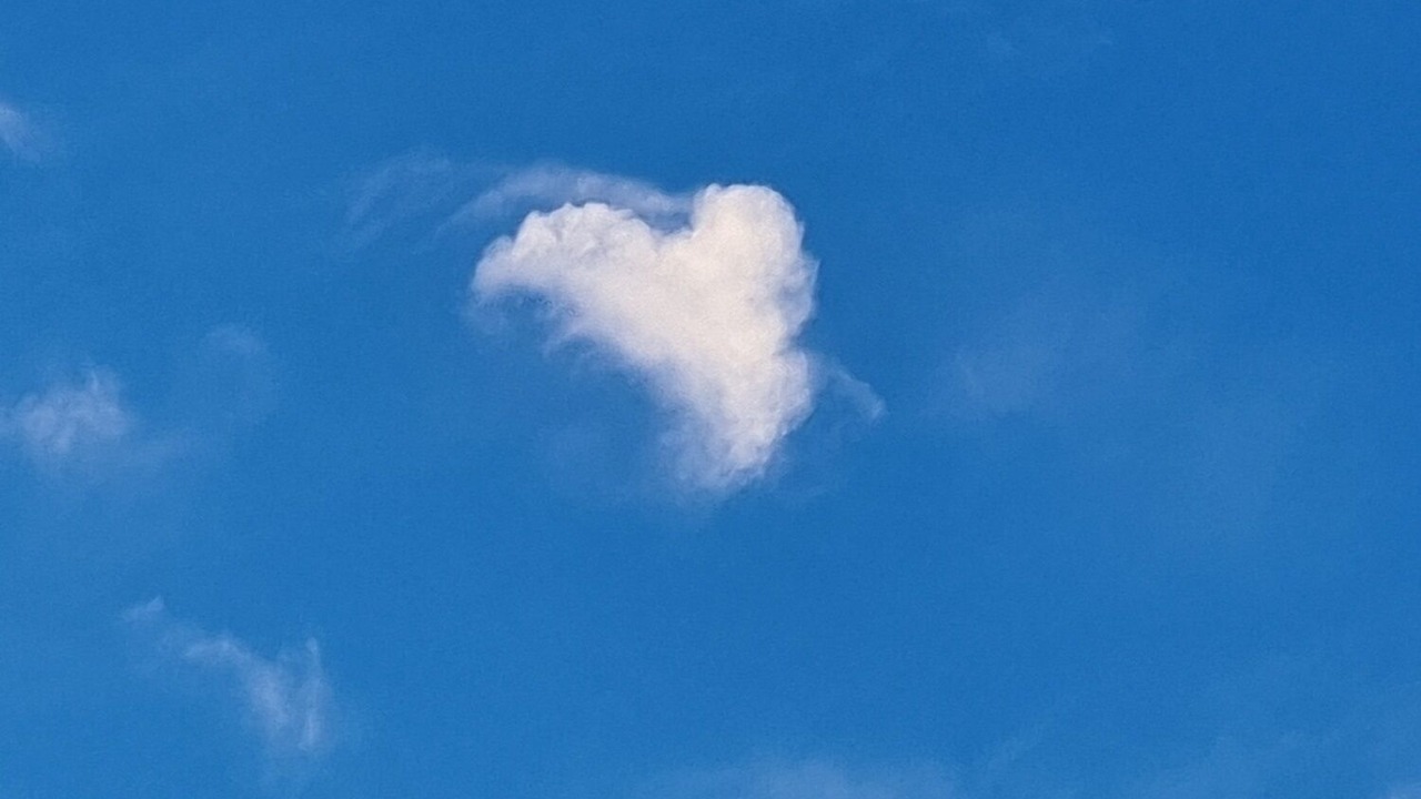 Photo of Others in Roullet-Saint-Estephe