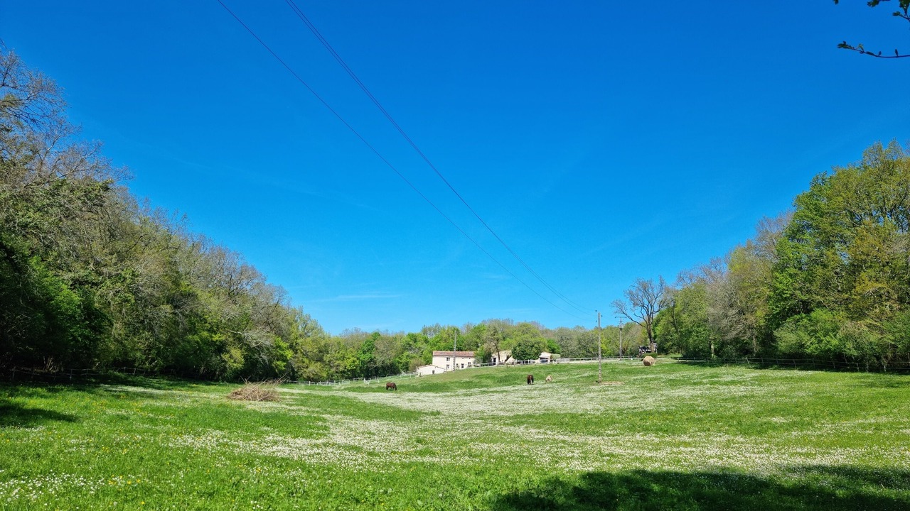 Photo of Others in Roullet-Saint-Estephe