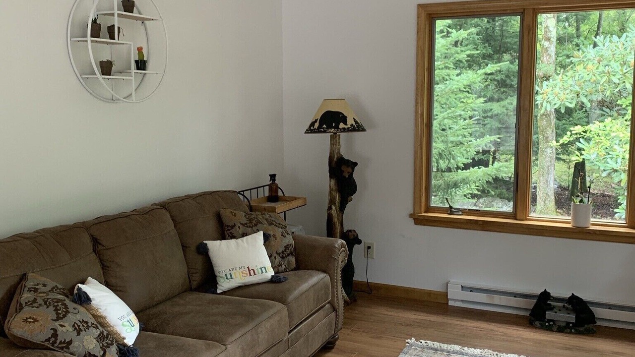 Photo of Livingroom in Pocono Pines