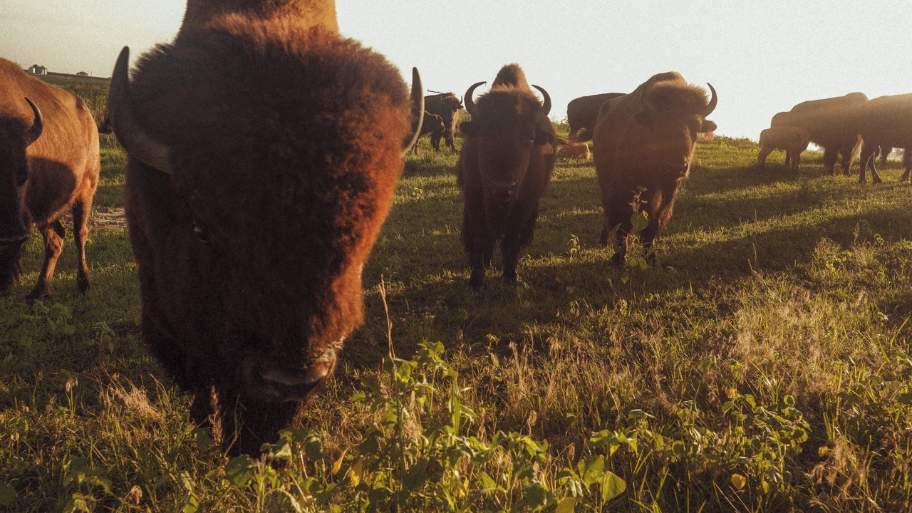 Photo of Others in Poweshiek County