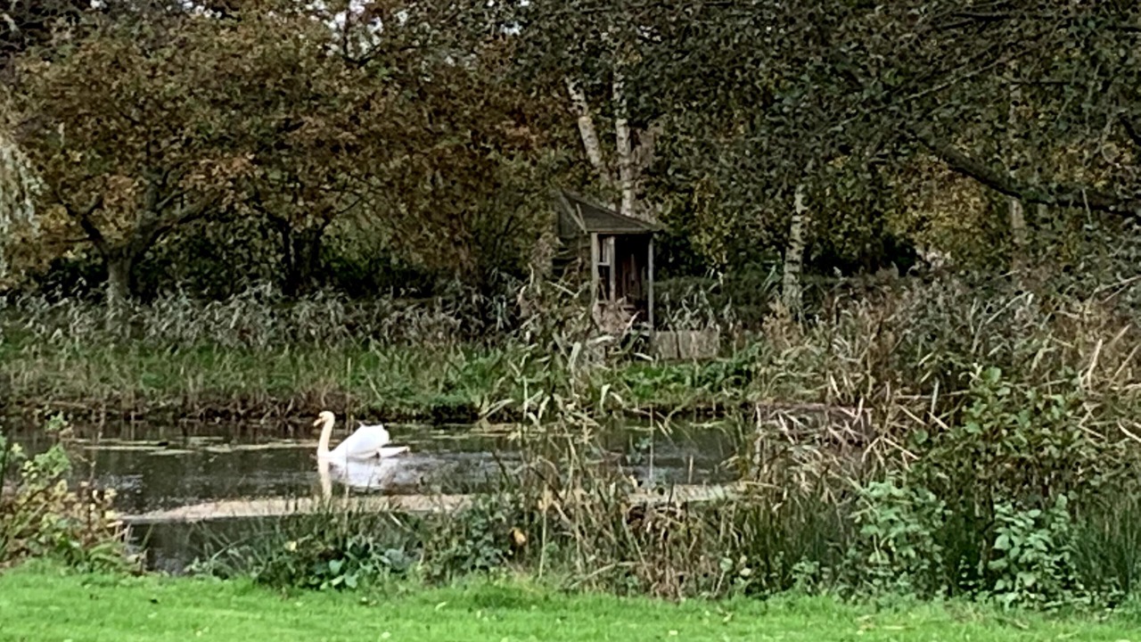 Photo of Outdoor in Irstead