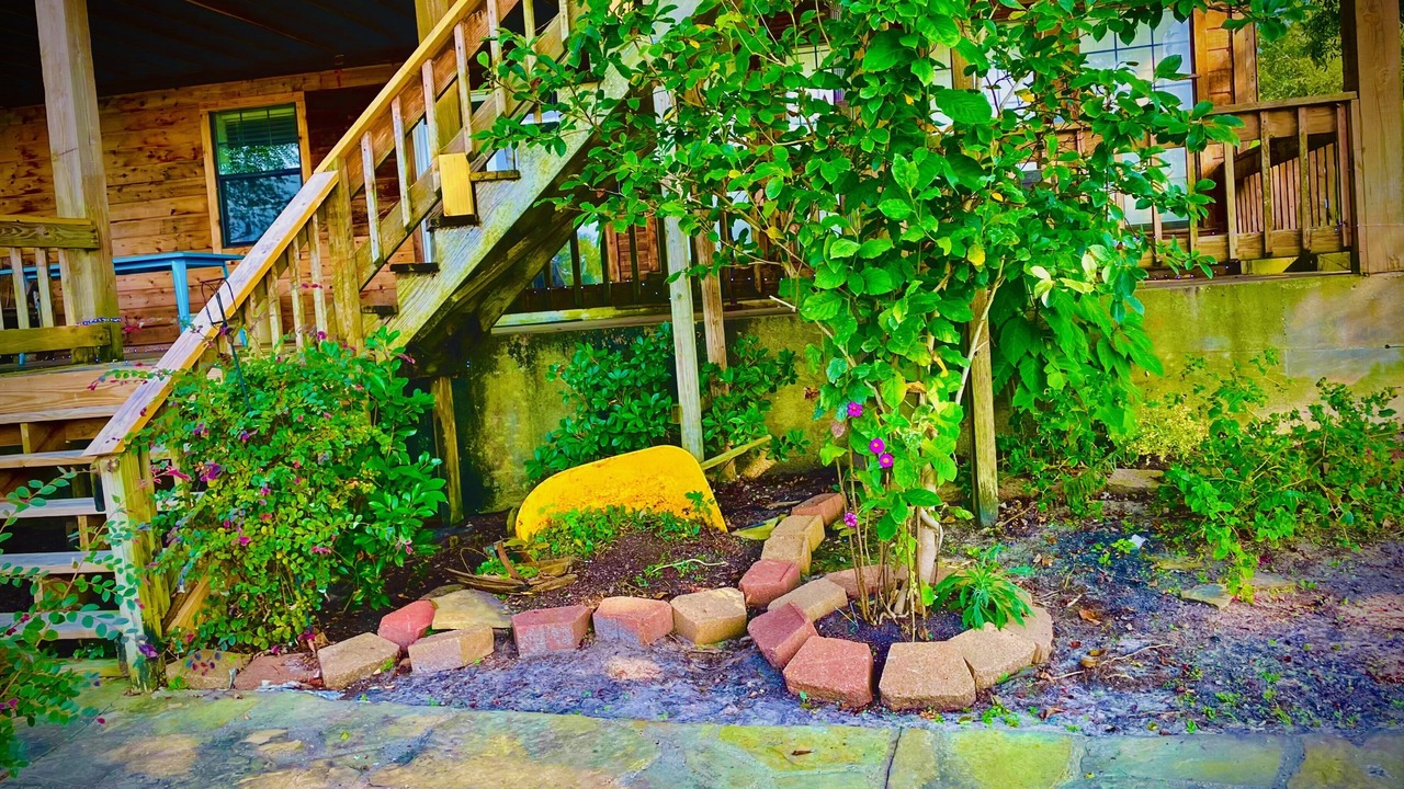 Photo of Outdoor in Trinity