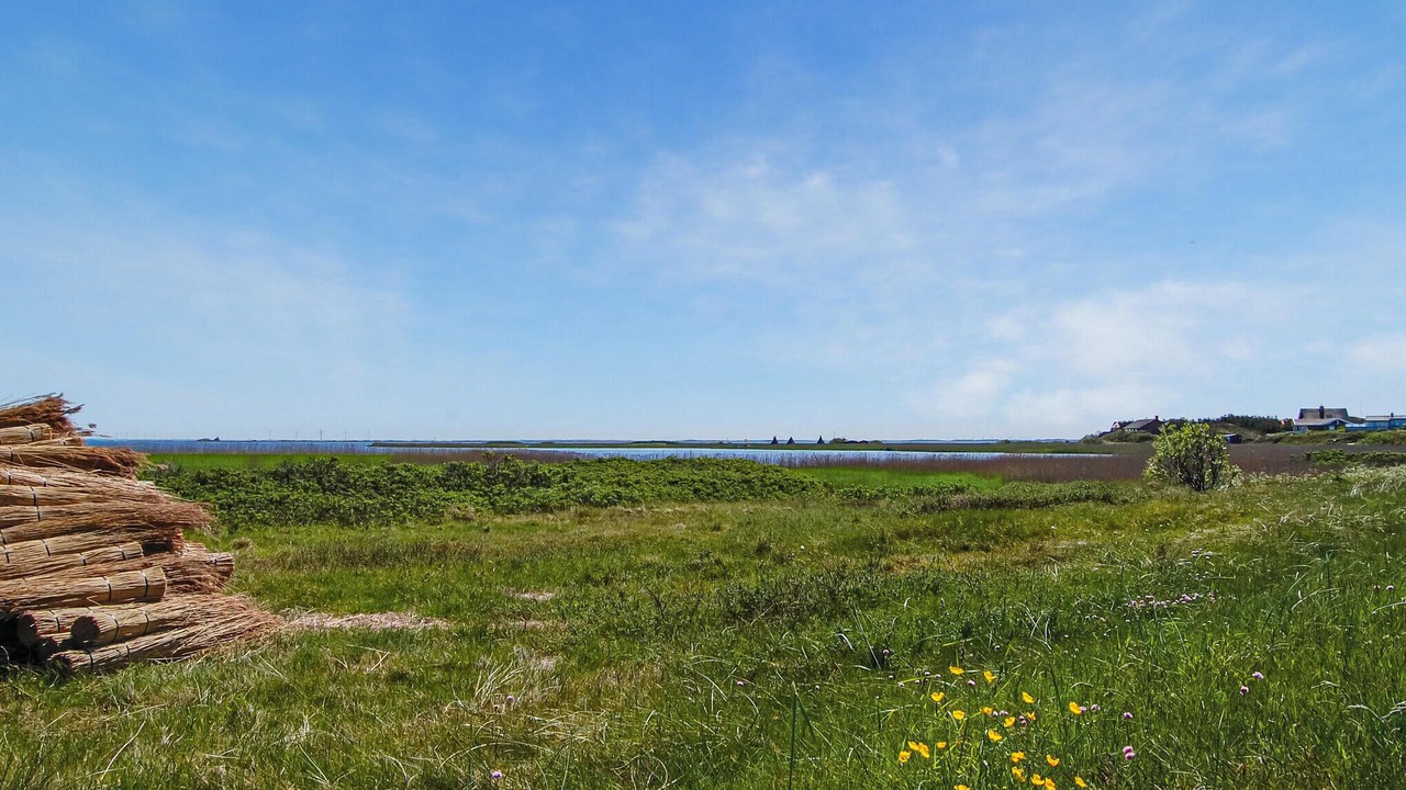 Photo of Others in Haurvig