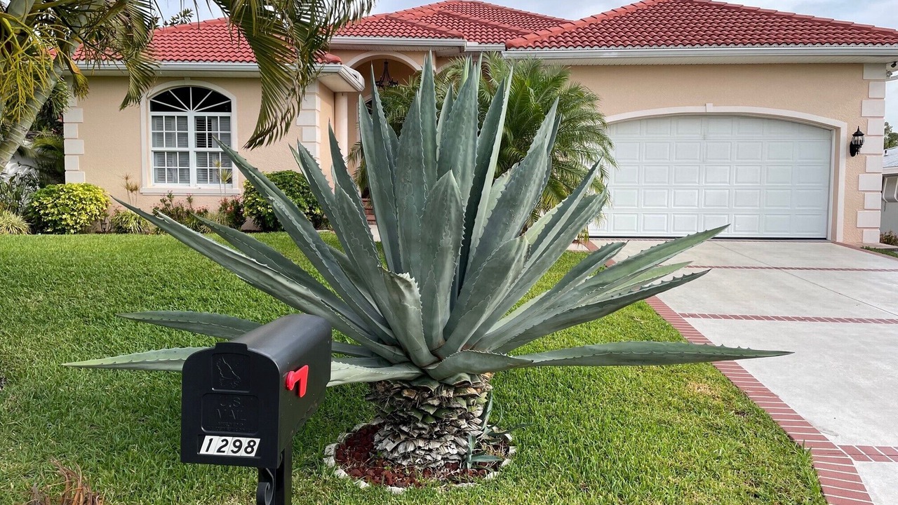 Photo of Others in Fort Myers