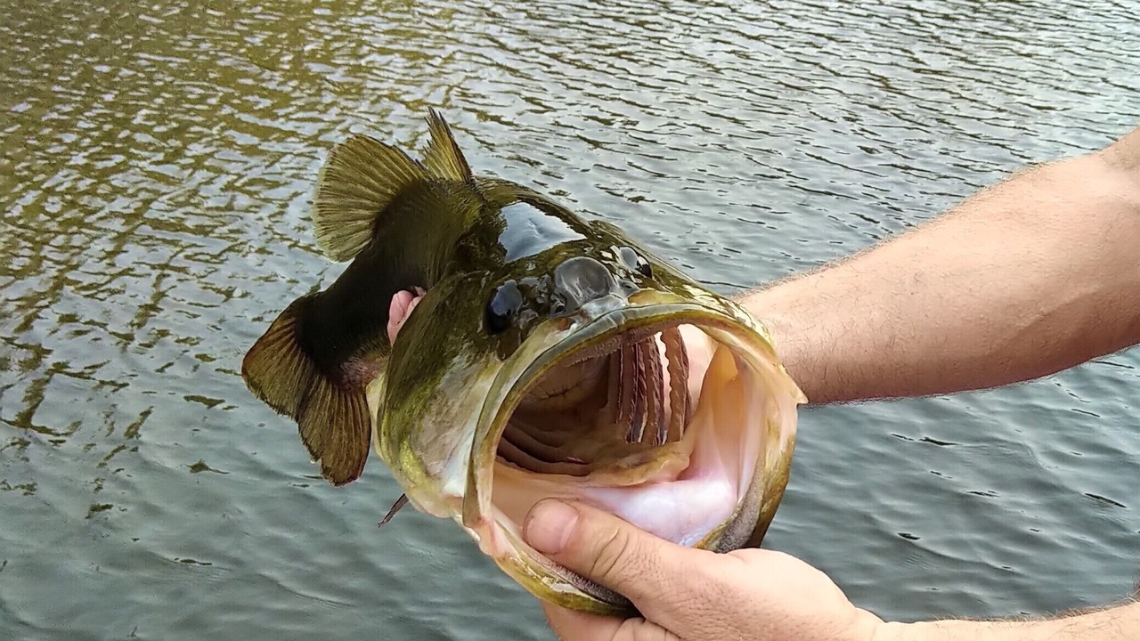 Photo of Others in Johnson County