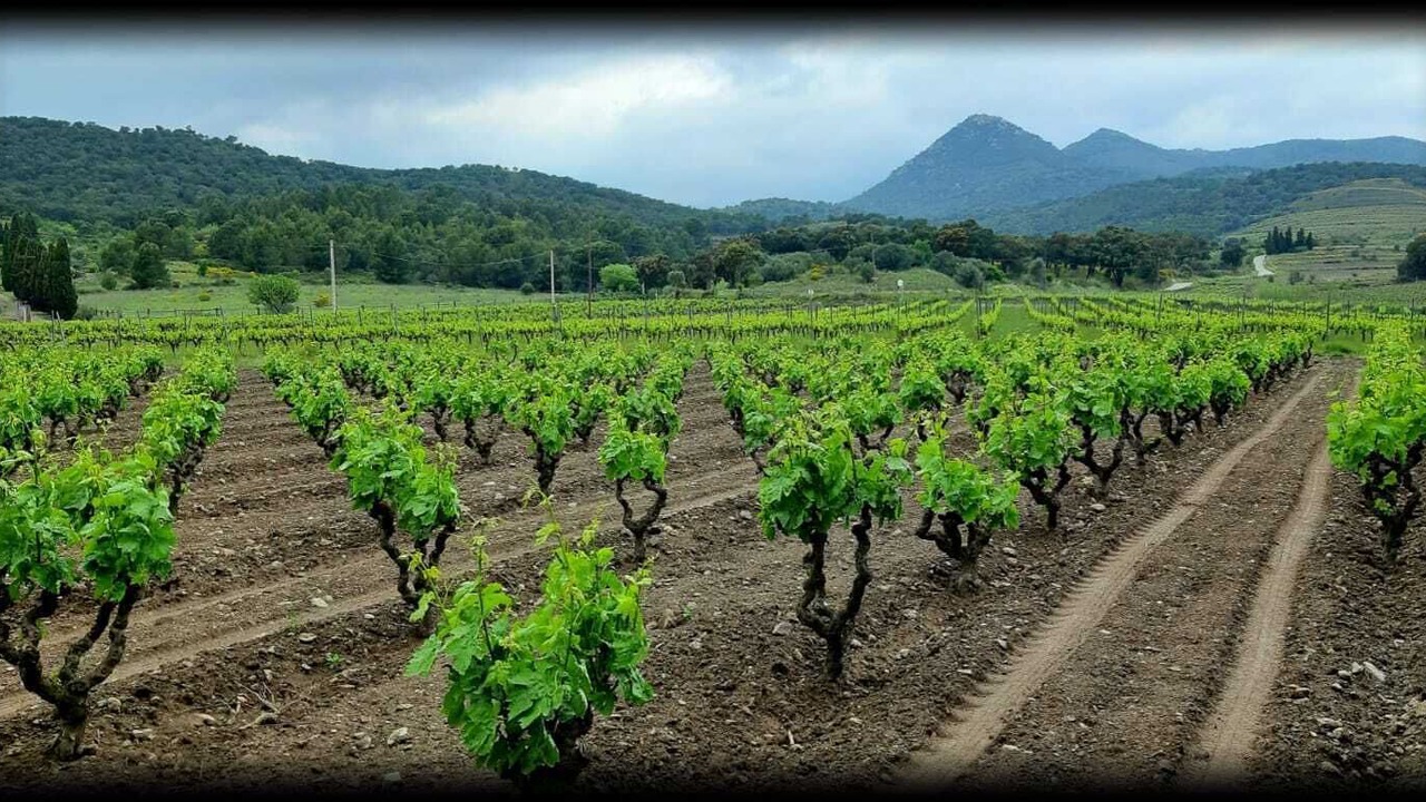 Photo of Outdoor in Espolla
