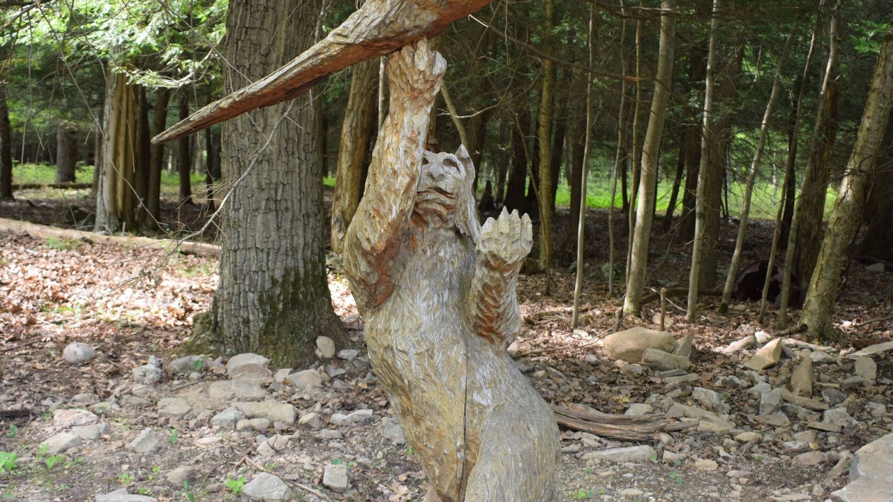 Photo of Outdoor in Canadensis