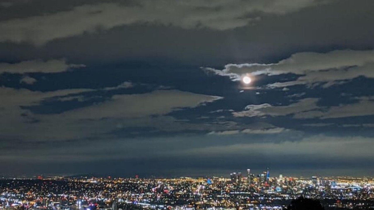 Photo of Others in Hollywood Hills West