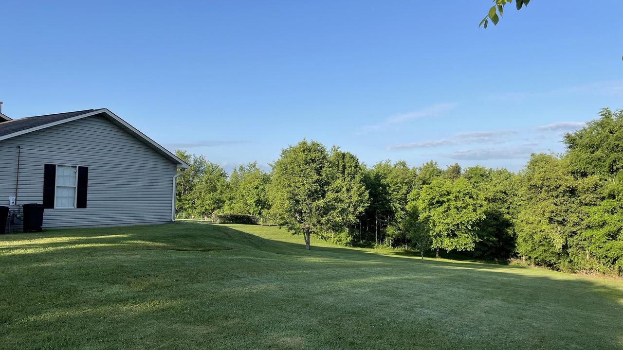 Photo of Outdoor in Dandridge