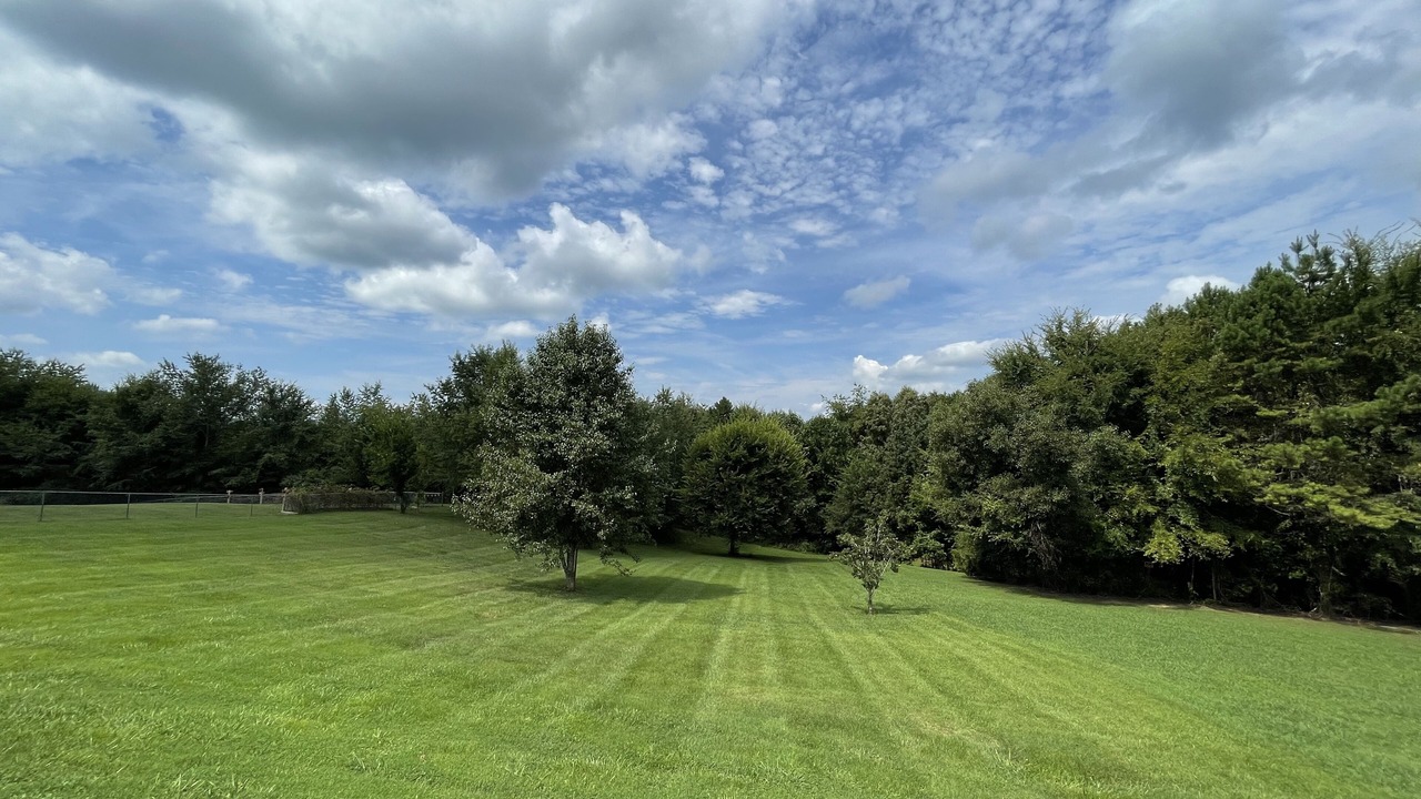 Photo of Outdoor in Dandridge