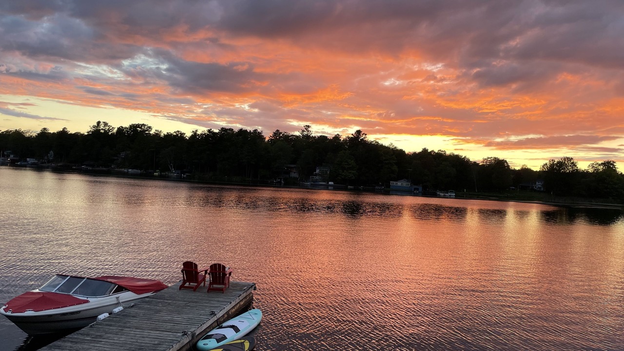 Photo of Outdoor in Lyndhurst
