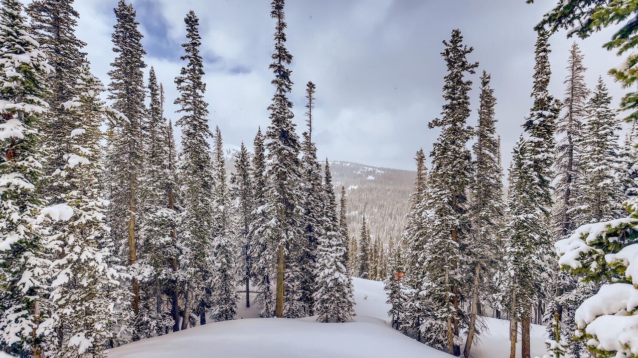 Photo of Outdoor in Quandary Village