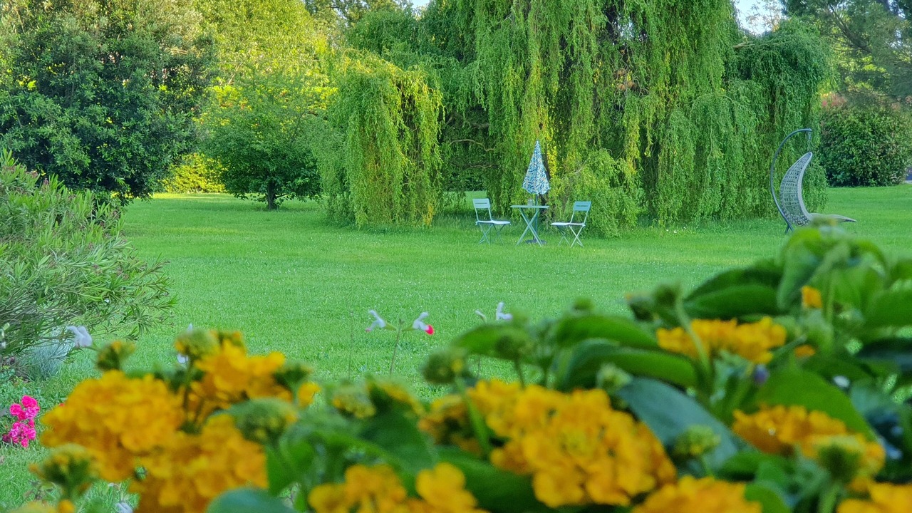 Photo of Outdoor in Le Ledat