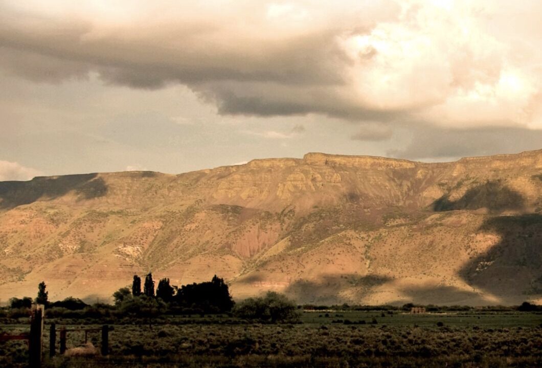 Photo of Outdoor in Plush