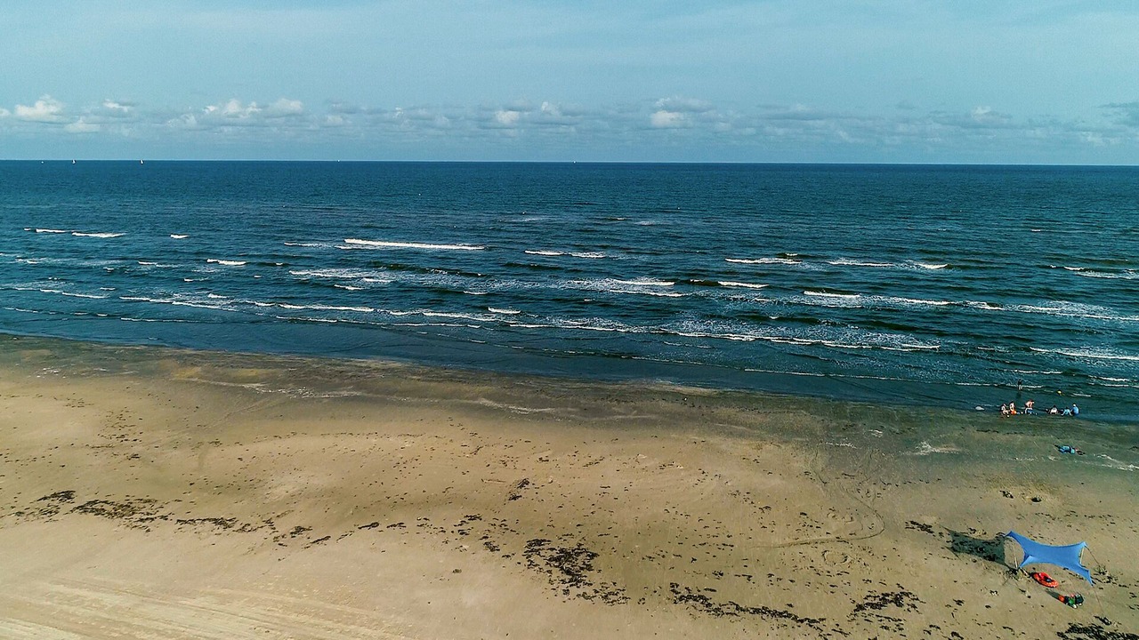 Photo of Others in Red Fish Cove