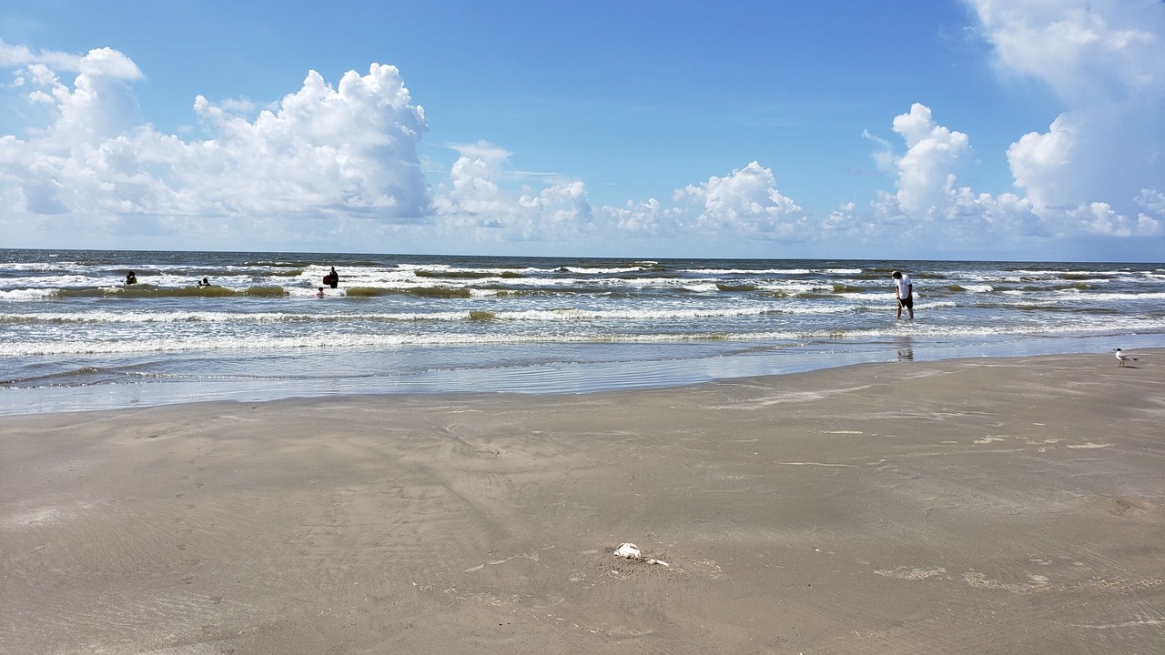 Photo of Others in Red Fish Cove
