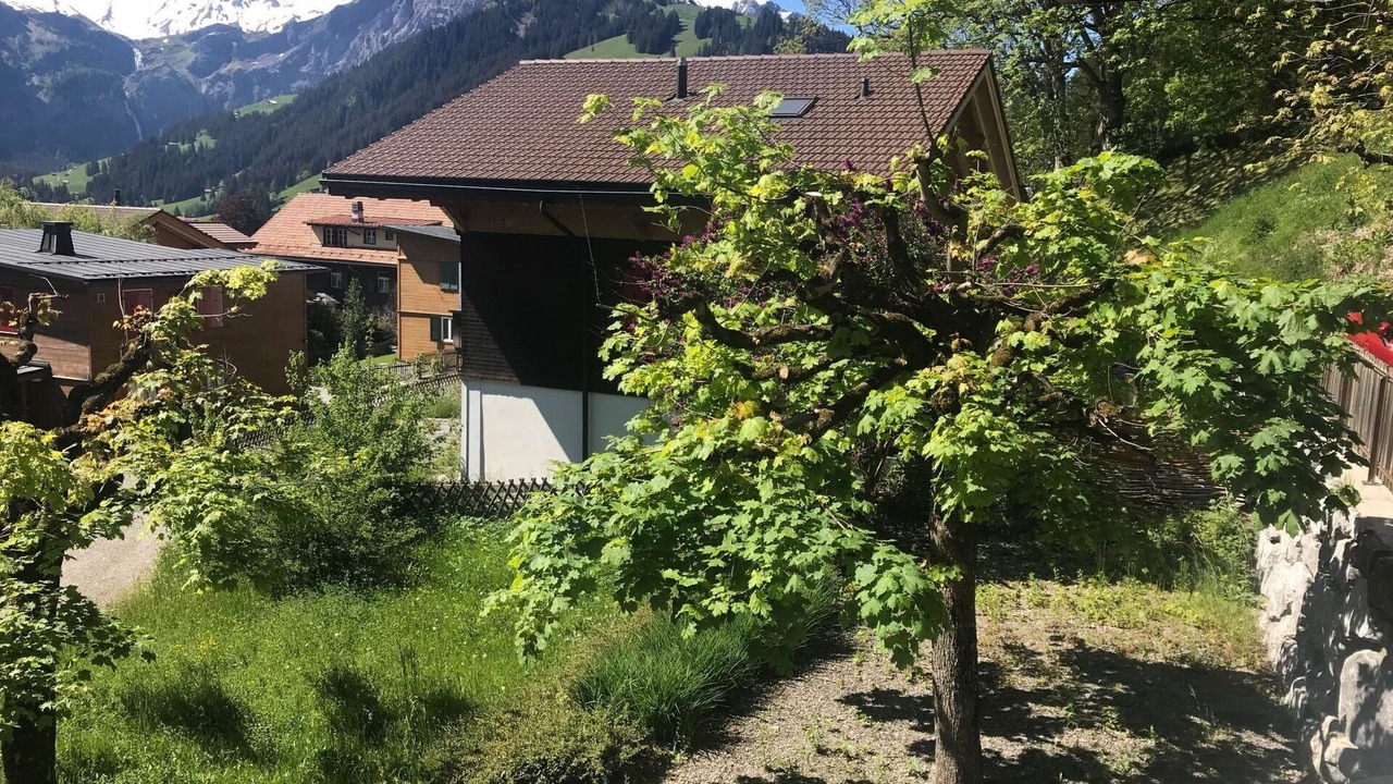 Photo of Others in Adelboden