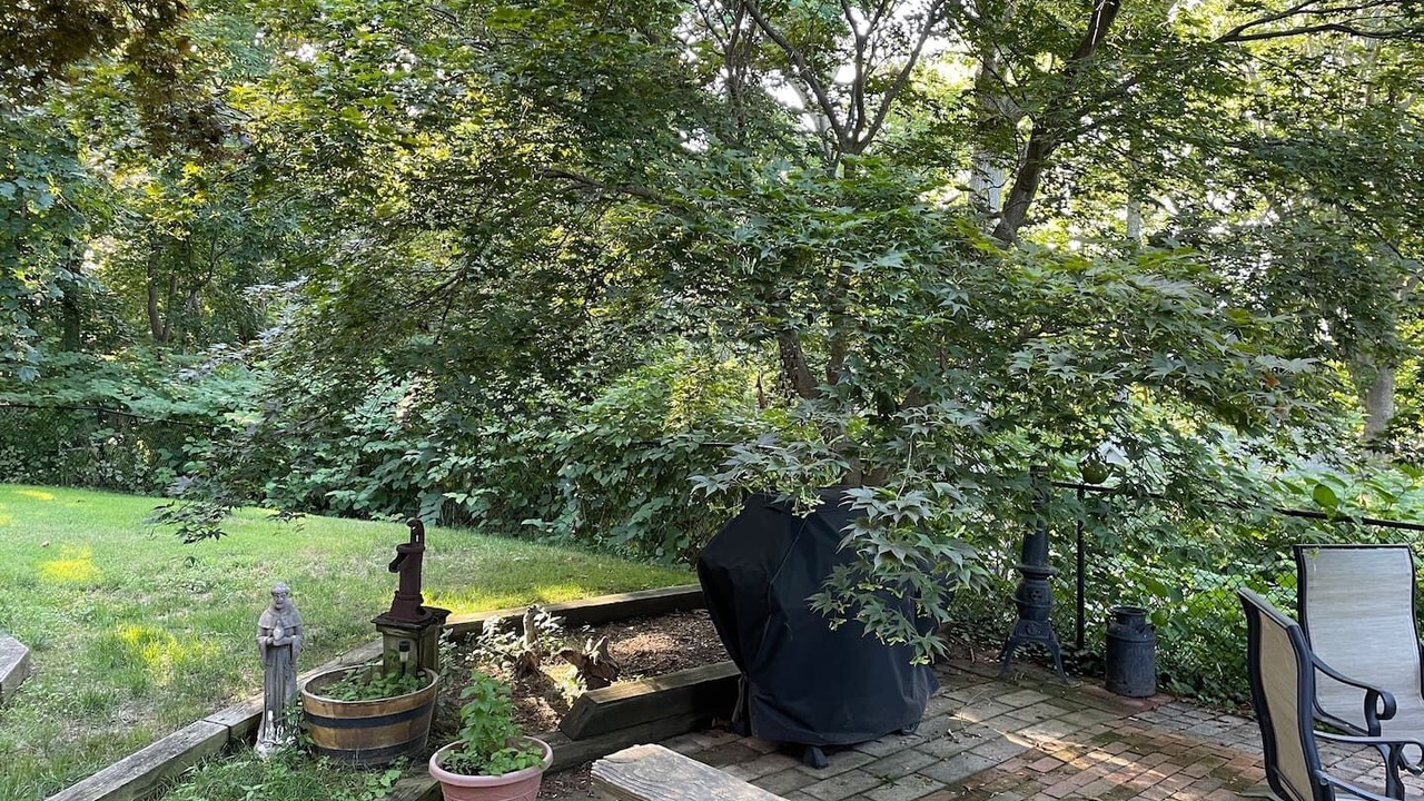 Photo of Others in Baiting Hollow