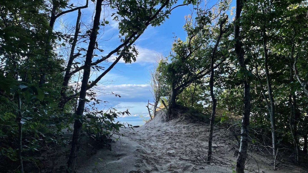 Photo of Others in Baiting Hollow