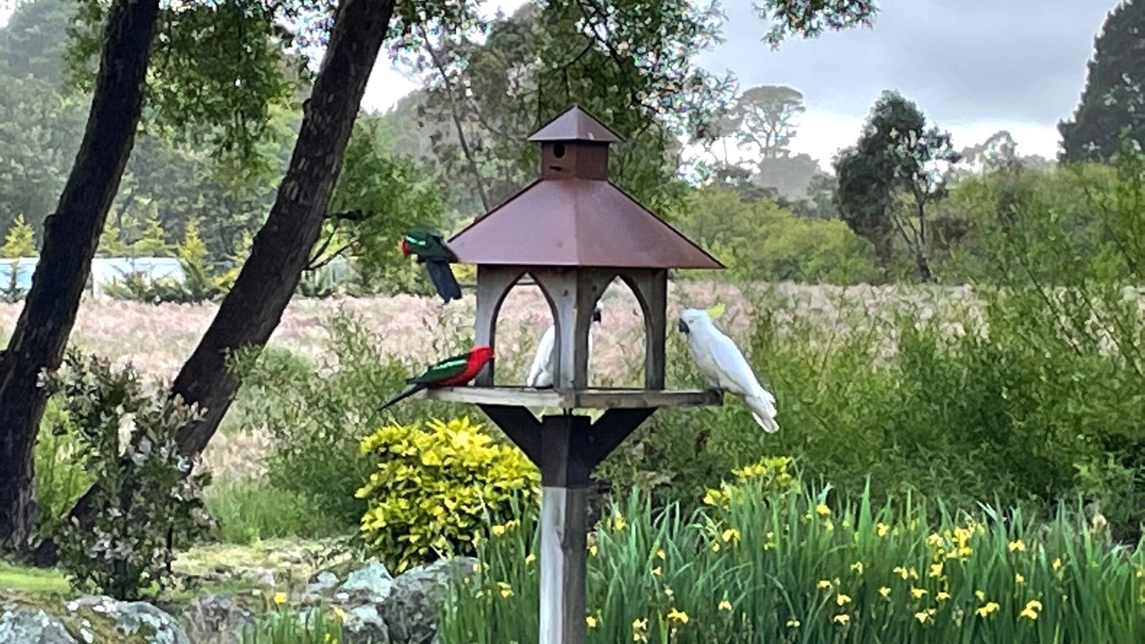 Photo of Others in Woodend North