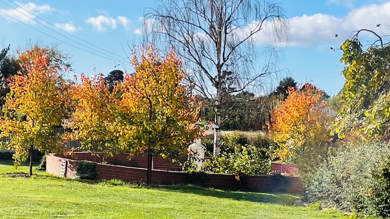 Photo of Outdoor in Woodend North