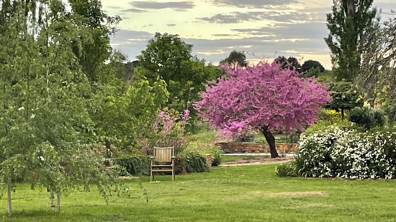 Photo of Others in Woodend North