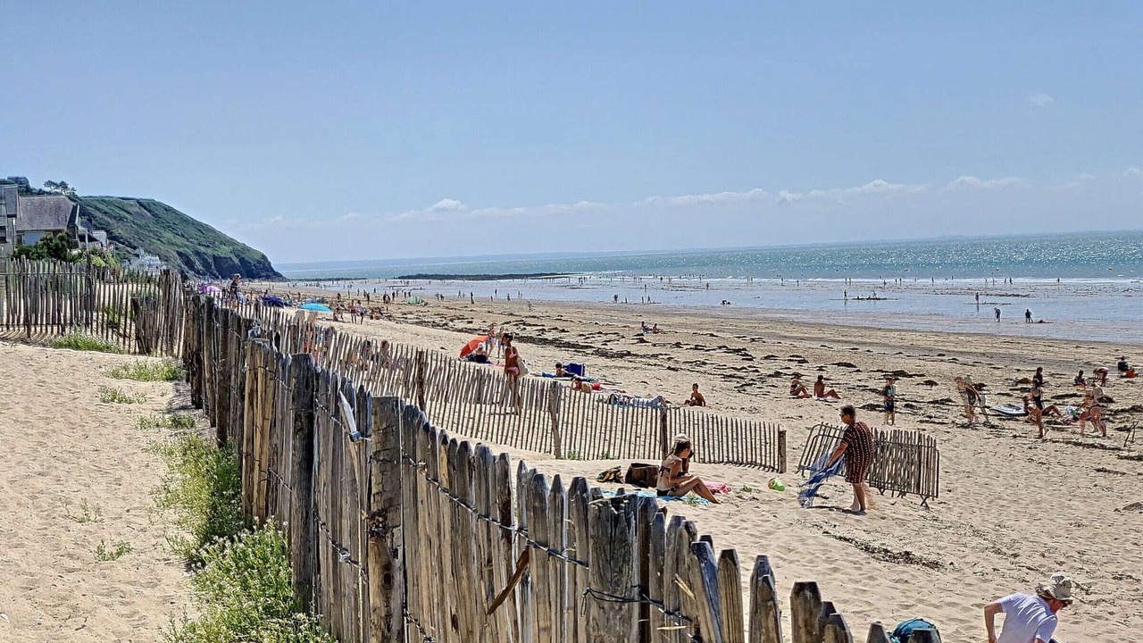 Photo of Others in Saint-Pair-sur-Mer
