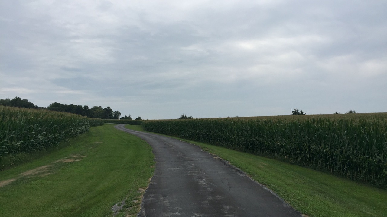 Photo of Others in Saunders County