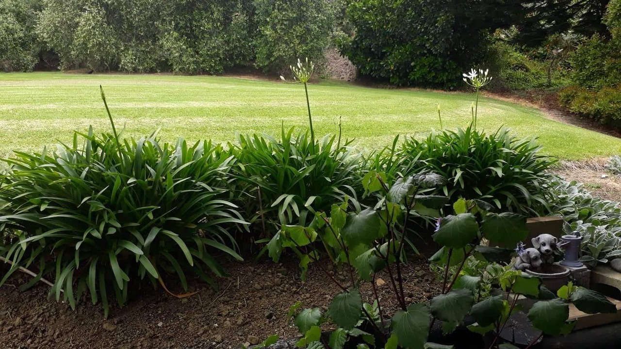 Photo of Outdoor in Omapere