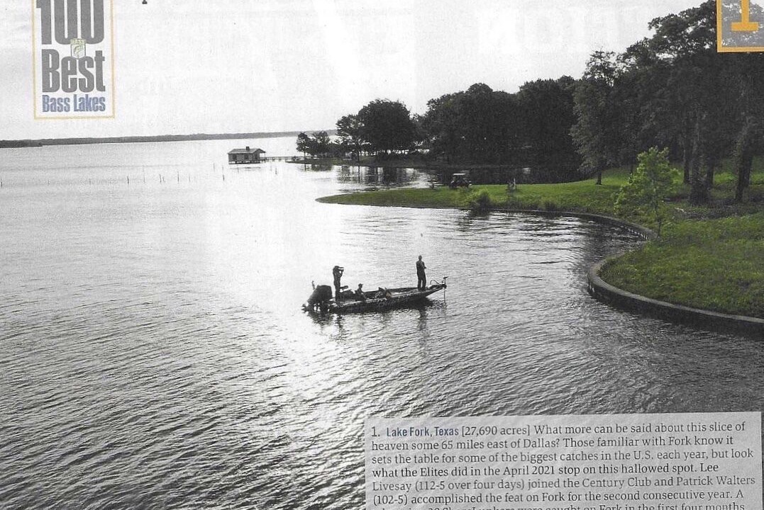 Photo of Outdoor in Quitman