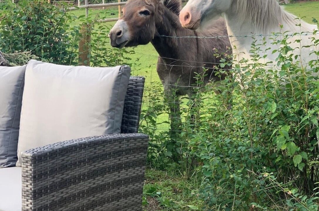 Photo of Outdoor in Himley