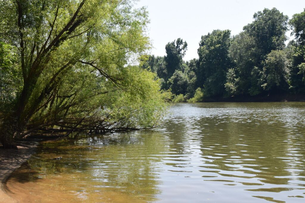 Photo of Others in Kingstree