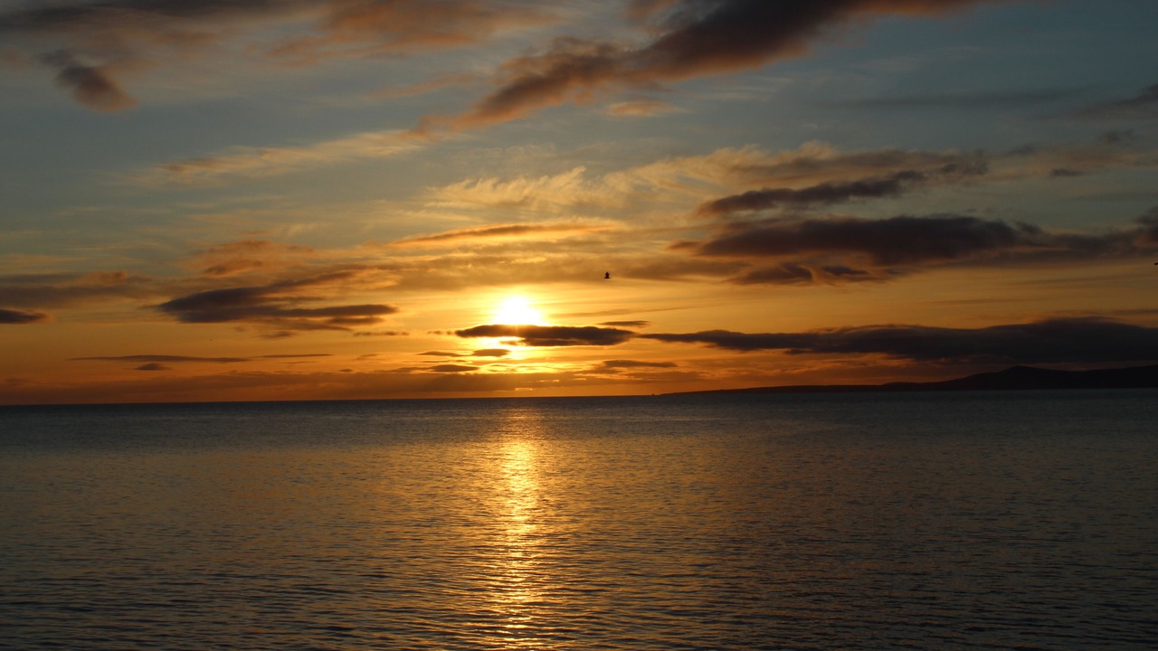 Photo of Others in Lossiemouth