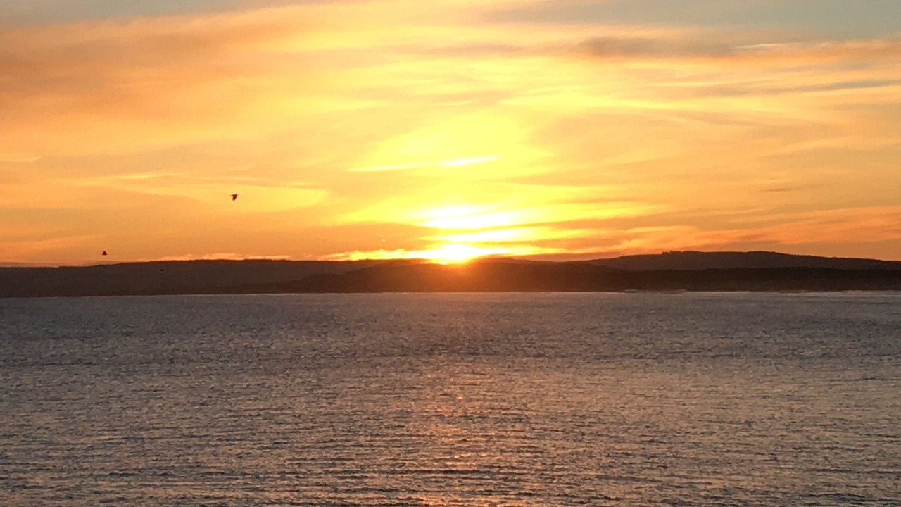 Photo of Others in Lossiemouth