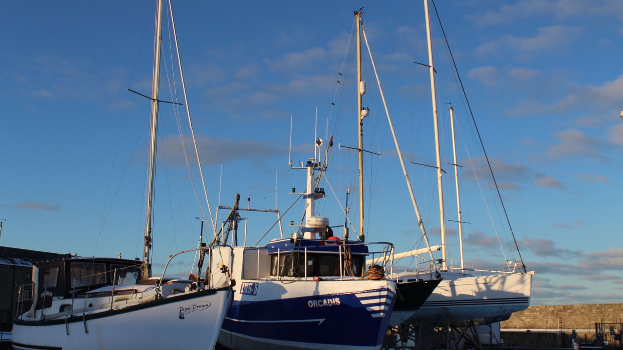 Photo of Others in Lossiemouth