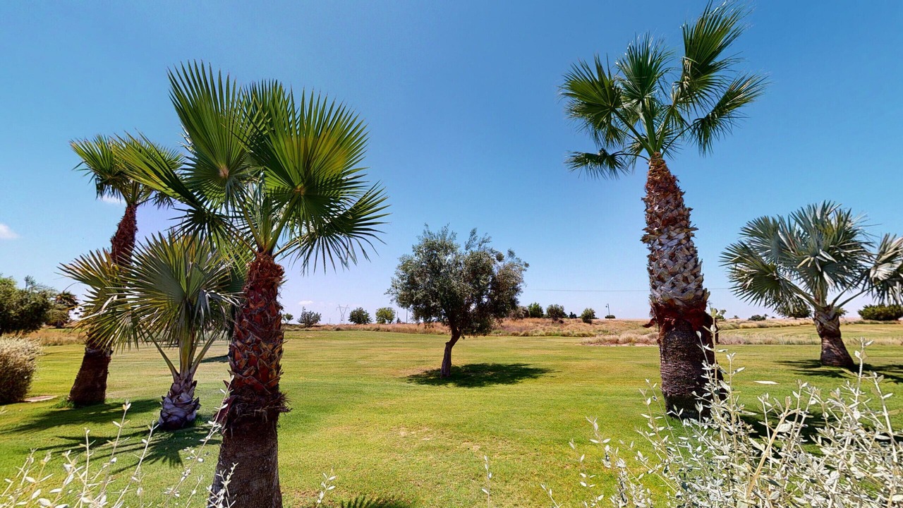 Photo of Others in Torre-Pacheco