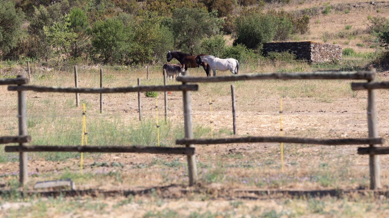 Photo of Others in Rabos