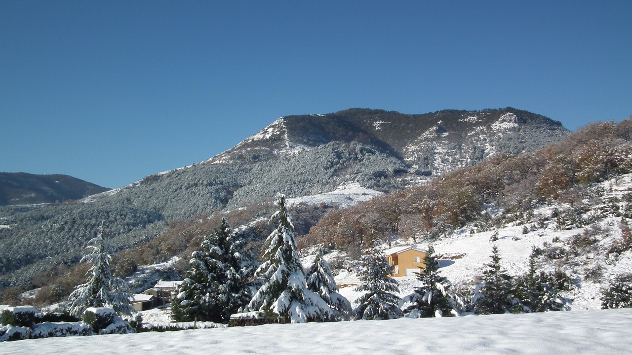 Photo of Others in Veyras