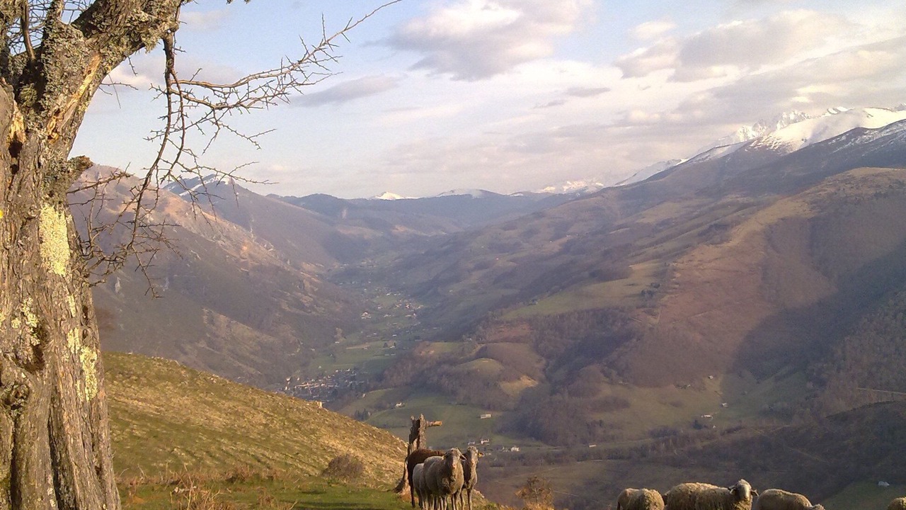 Photo of Outdoor in Bagneres-de-Bigorre