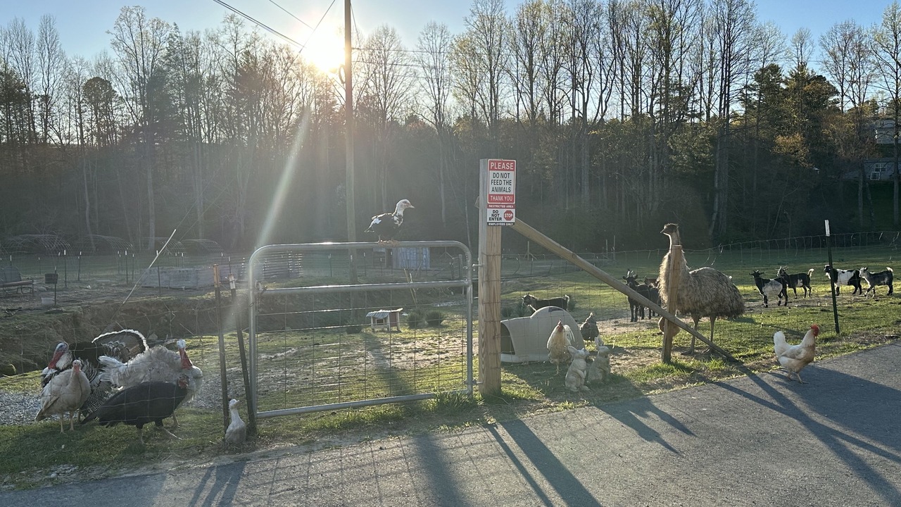 Photo of Others in Hendersonville