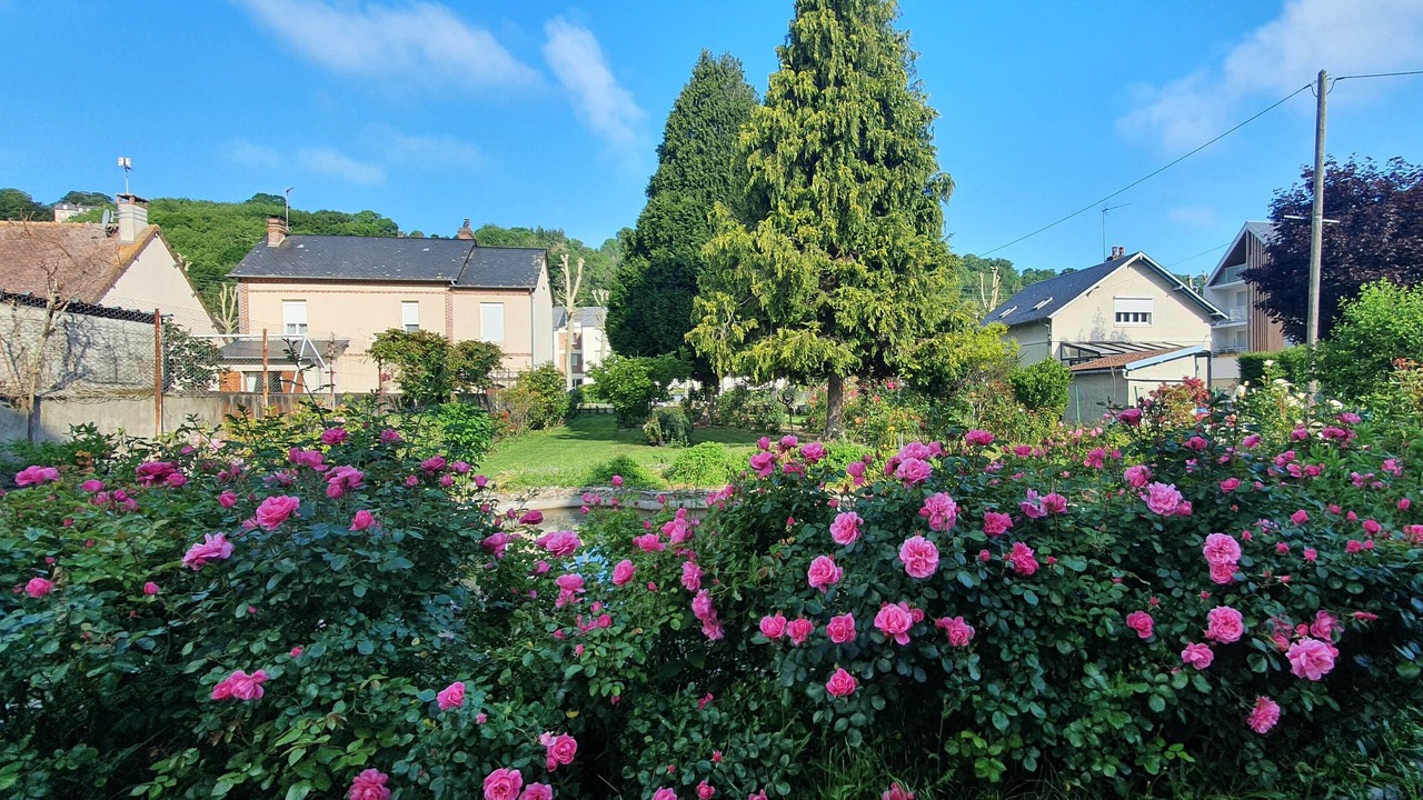 Photo of Outdoor in Honfleur