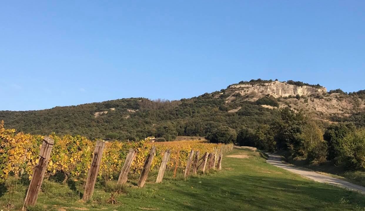 Photo of Outdoor in Saint-Peray