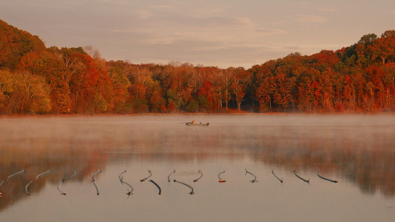 Photo of Others in Holladay